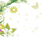 Green Butterfly Nature